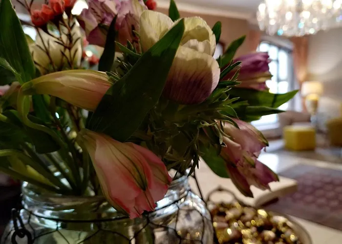 Stare Old Town 3* Poznań