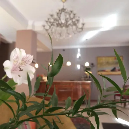 Stare Miasto Hotell Poznań