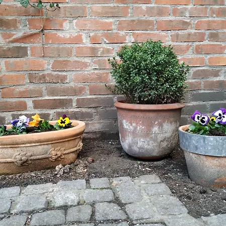 Stare Old Town Hotel 3*