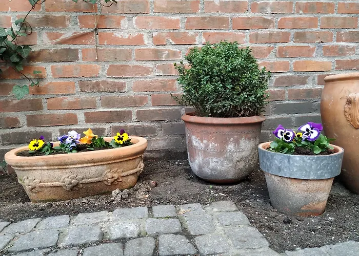 Stare Old Town Отель 3*